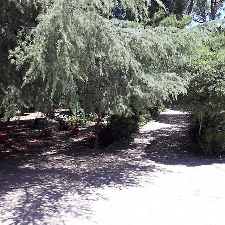 B&B Villa Pallante Барі Екстер'єр фото
